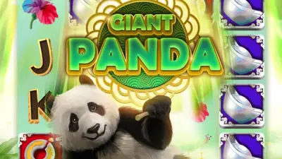giant panda